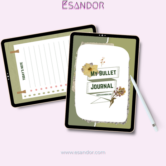 My Fancy & Feminine Bullet Journal