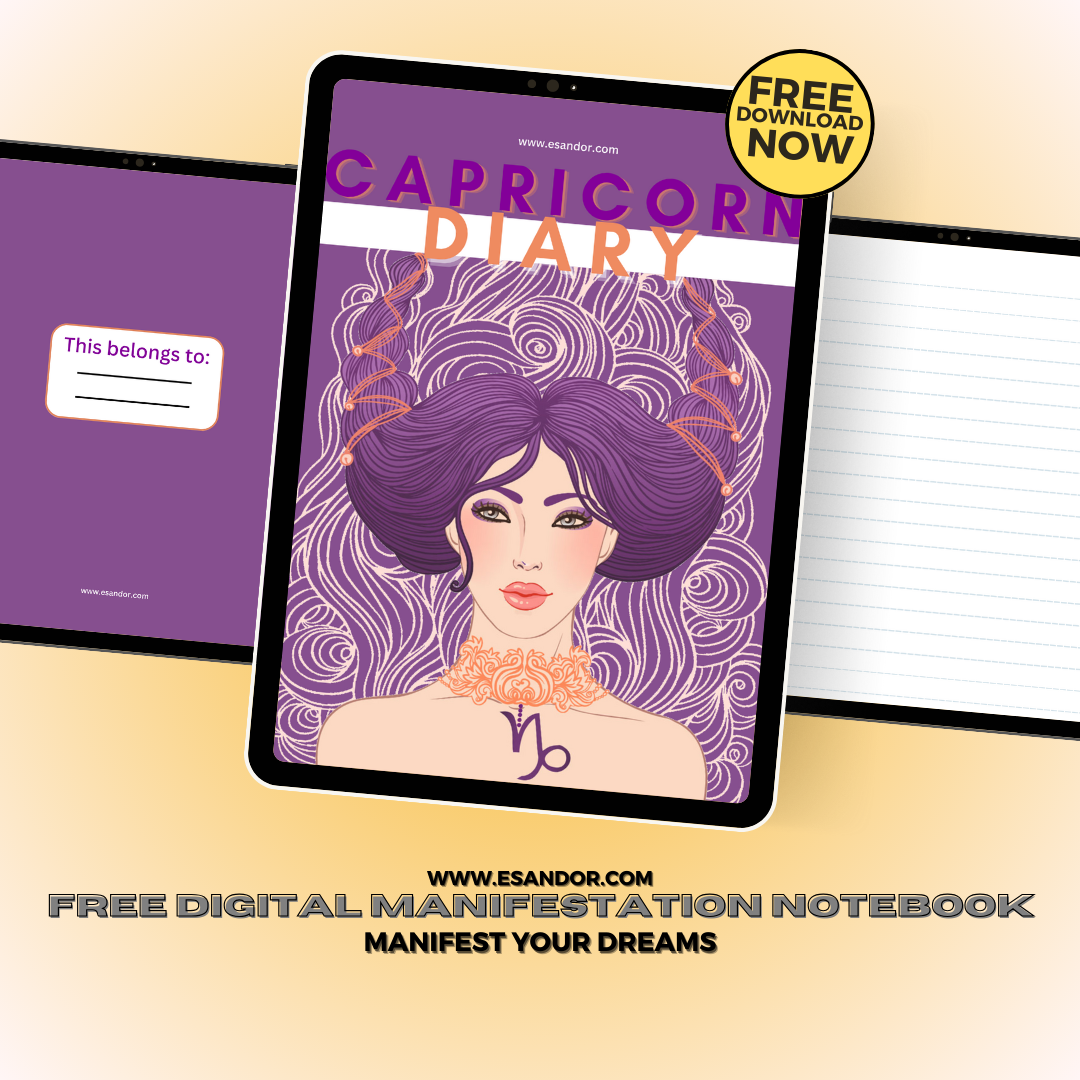 Capricorn Manifestation Notebook