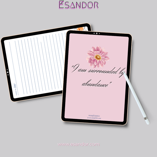 Embrace & Release Journal: I Am Surrounded By Abundance