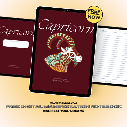 Capricorn Manifestation Notebook