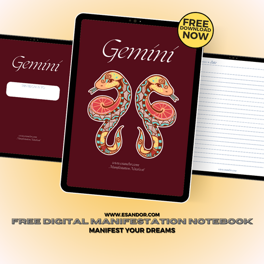 Gemini Manifestation Notebook